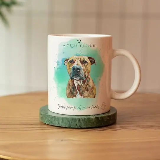 Personalised Custom Pet/ Dog/ Cat Memorial, In Memory of, Loss, Bereavement Mugs/ Cushion covers/ Prints 6