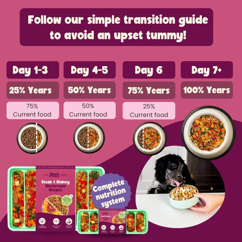 4x Steak & Kidney Mushroom Hotpot Adult Dog Food | Grain Free | Years Complete Nutritional Fresh Wet Dog Food |  Hypoallergenic 4