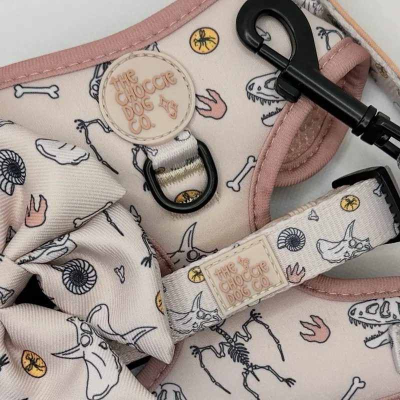 The Choccie Dog Co 'Bone-a-Fide' Neoprene Dog Walking Harness - Perfect for Walks with Your Canine Companion