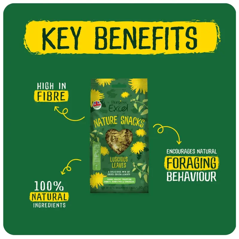 Burgess Excel Nature Snacks Forage Mixes for Small Pets - Botanical Mixes for Rabbits, Guinea Pigs and Chinchillas rabbit treats 1