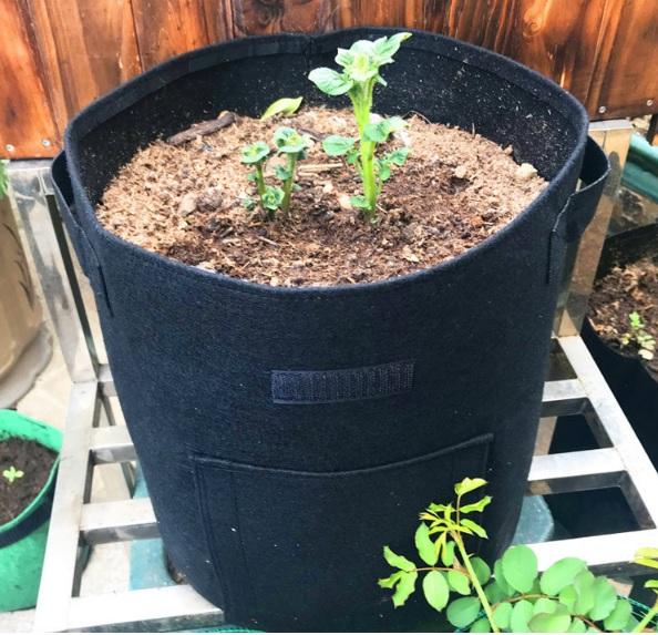 UK Seller 4/7/10 Gallon Potato Grow Planter Bags Vegetable Planting Bag Fabric Pot Onion 5