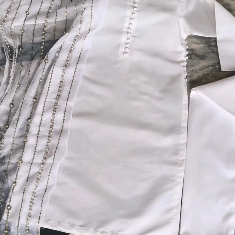 Gorgeous Chiffon Pearl Work Suit  with Free Delivery Elegant Outfit Style Silk Womenswear 1