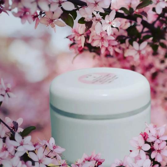 Molato Body Cream/Brightening Body Cream 250ml 2