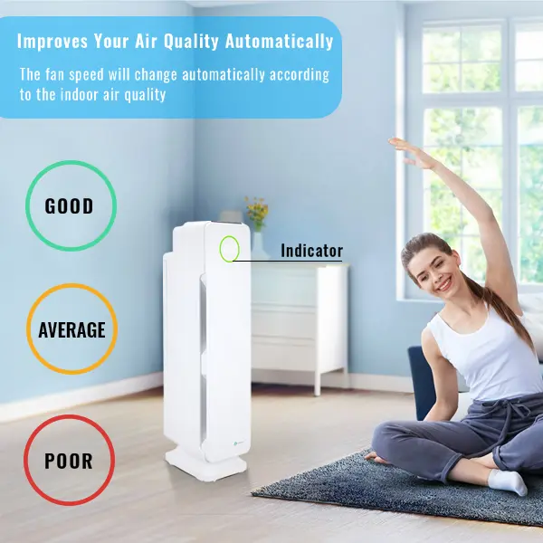 Multiple Technologies Intelligent 5 in 1 Air Purifier and Ioniser with UV-C Sanitiser Eliminates viruses 5