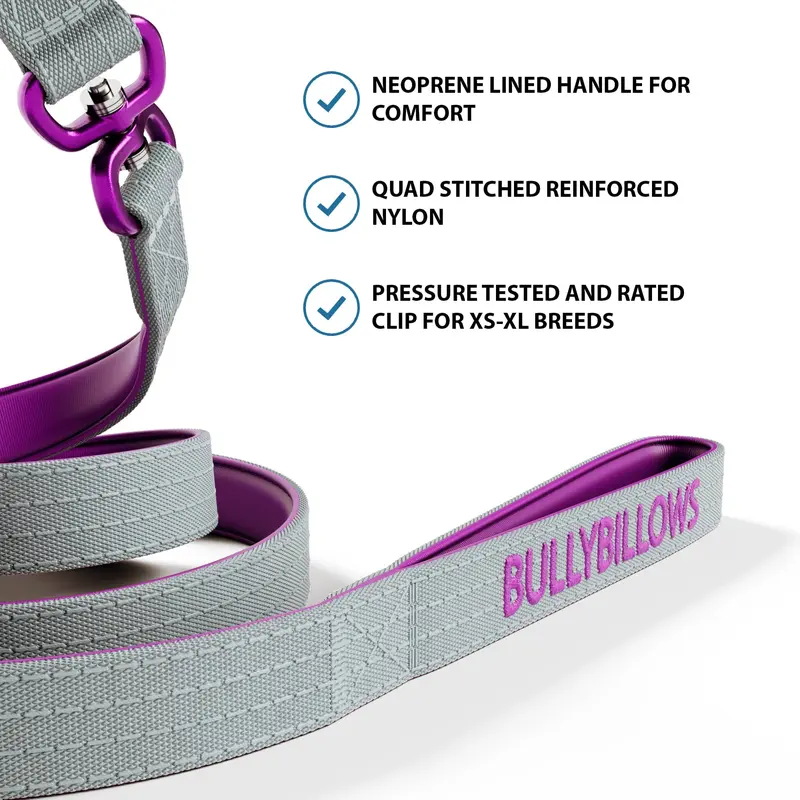 BullyBillows 1.4m Lighter Swivel Combat Dog Lead | Anti-Tangle & Secure Clip - Purple x Metal Grey 3