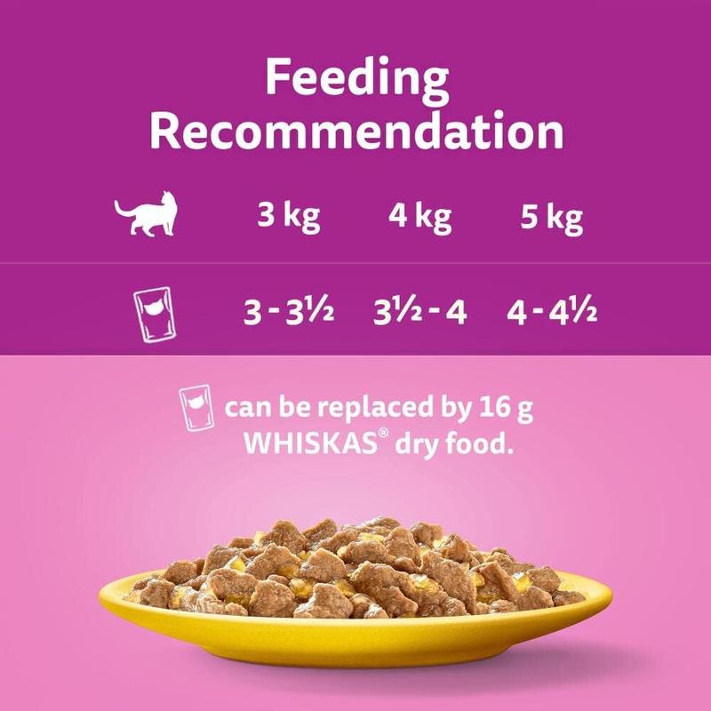 1+ Adult Poultry Selection in Jelly 40 Pouches, Adult Wet Cat Food, Megapack (40 x 85 g) 7