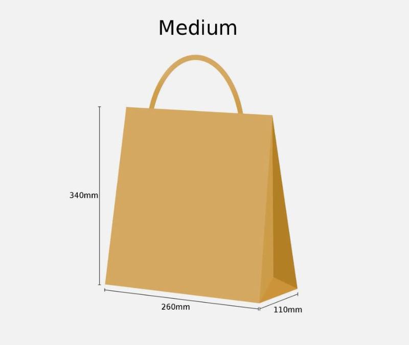 Brown Paper Bags with Twist Handles for Shopping, Gifting, and Takeaways 1