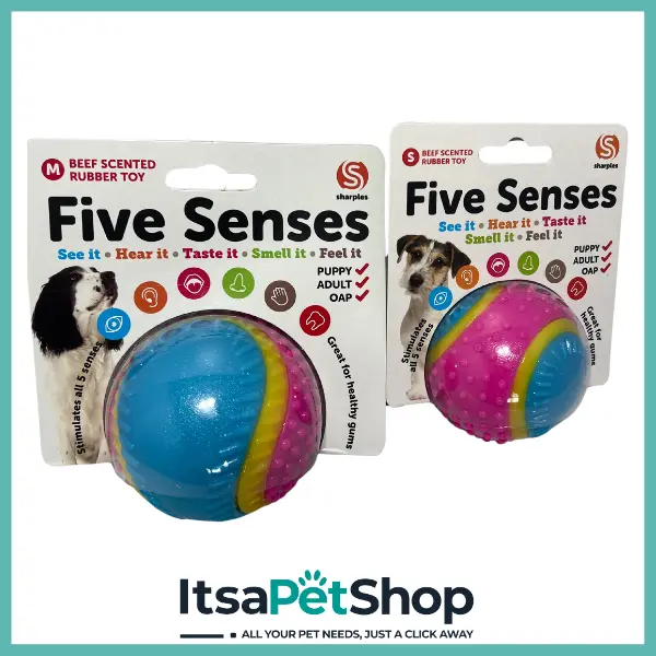 Five Senses Dog Ball - Perfect for Pups' Playtime