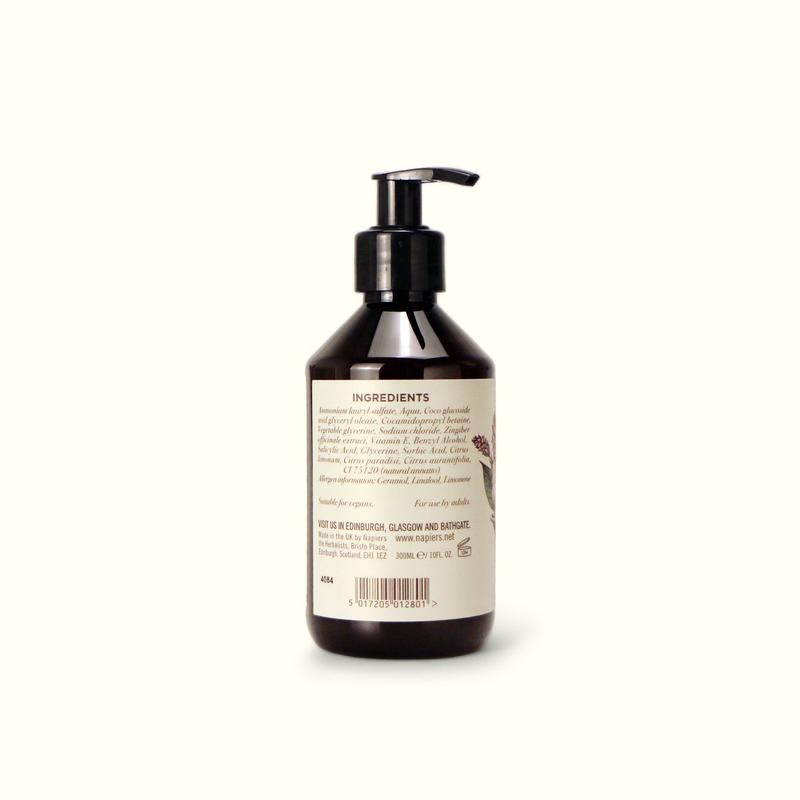 Napiers Ginger Detox Hand & Body Wash - Herbal Cleanser For Hand & Body - Naturally Foaming Plant Based Body Care Providing Gentle Cleansing Comfort With The Light Scent Of Citrus And Ginger 2