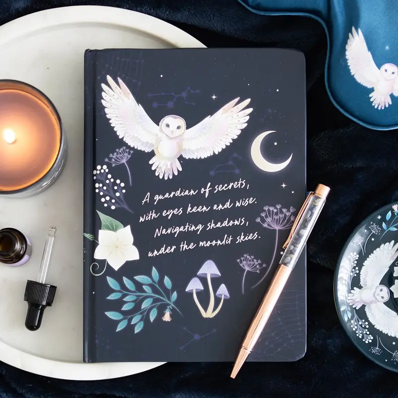 Night Owl Journal with Sodalite Crystal Chip Pen 0