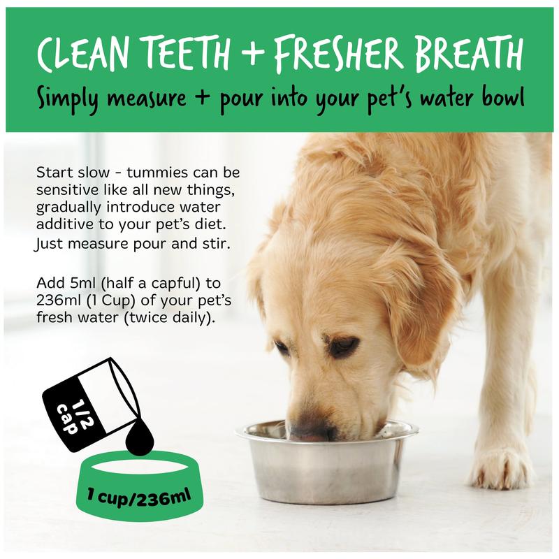 Bugalugs Dental Care Solution for Dogs & Cats - Dental Water Additive, Clean Teeth, Healthy Gums & Fresh Breath - No brushing needed 8