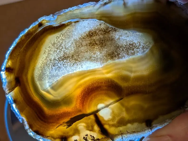 brown agate slice these are great with a light 3