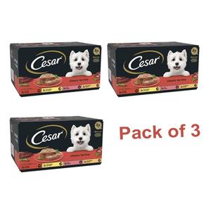 Cesar Classic Terrine in Jelly 24 Trays, Adult Premium Wet Dog Food, Mixed Selection, Pack of 3 (8 x 150 g)