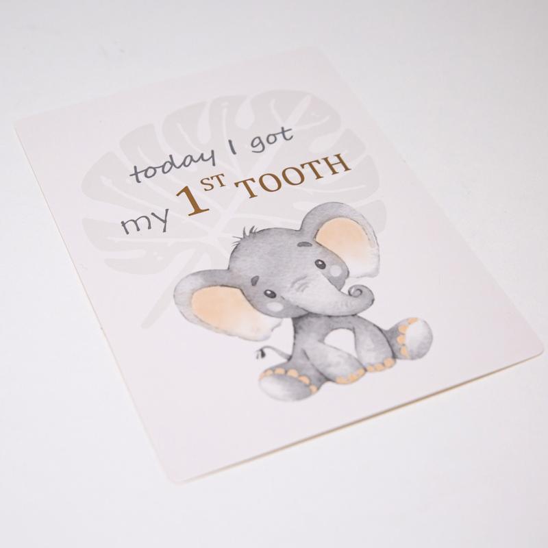 Cute Unisex Baby Elephant Grey Quirky and Fun Set of 24 Milestone Cards 2