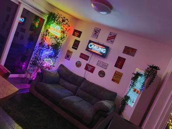 Product Review of It's Beer On The Wall Design Neon Sign, LED Neon Light with 2 Clear Hook, Decorative Neon Sign for Home Party (Battery Required, without Battery) from D** 0