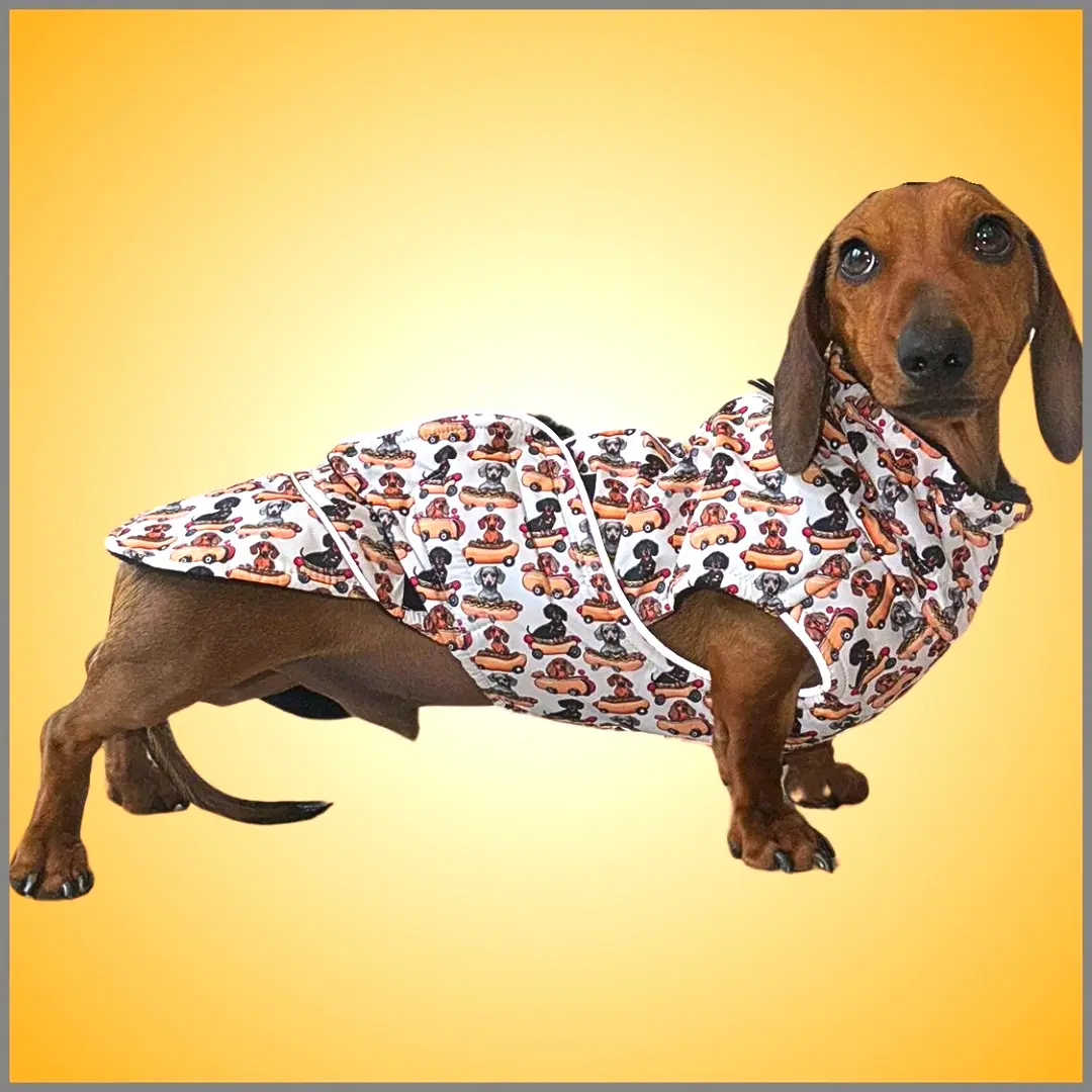 Weiner On Wheels Polartec Waterproof Dachshund Coat - Sausage Dog Box