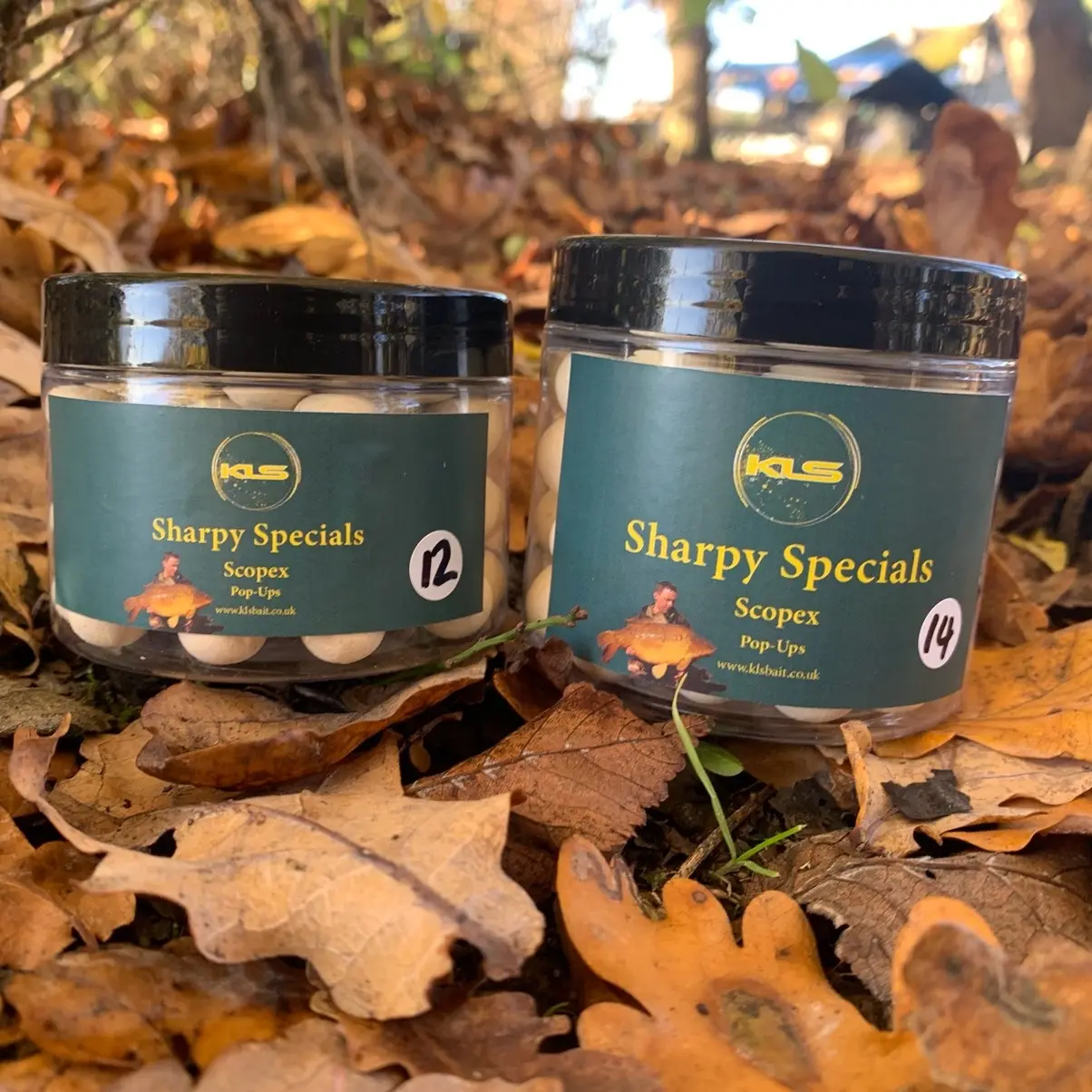 KLS Bait Sharpy Special Pop-Ups