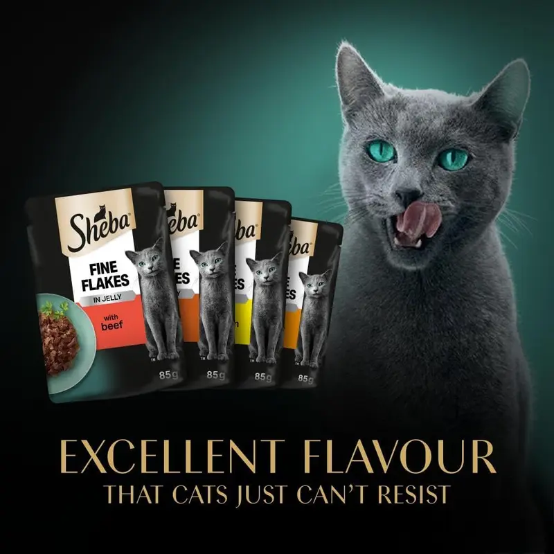Sheba Fine Flakes Wet Cat Food Pouches - MultiPack Succulent Collection with Beef, Chicken, Lamb and Turkey in Jelly, Pack of 4 (4 x 12 Pouches x 85 g) 8