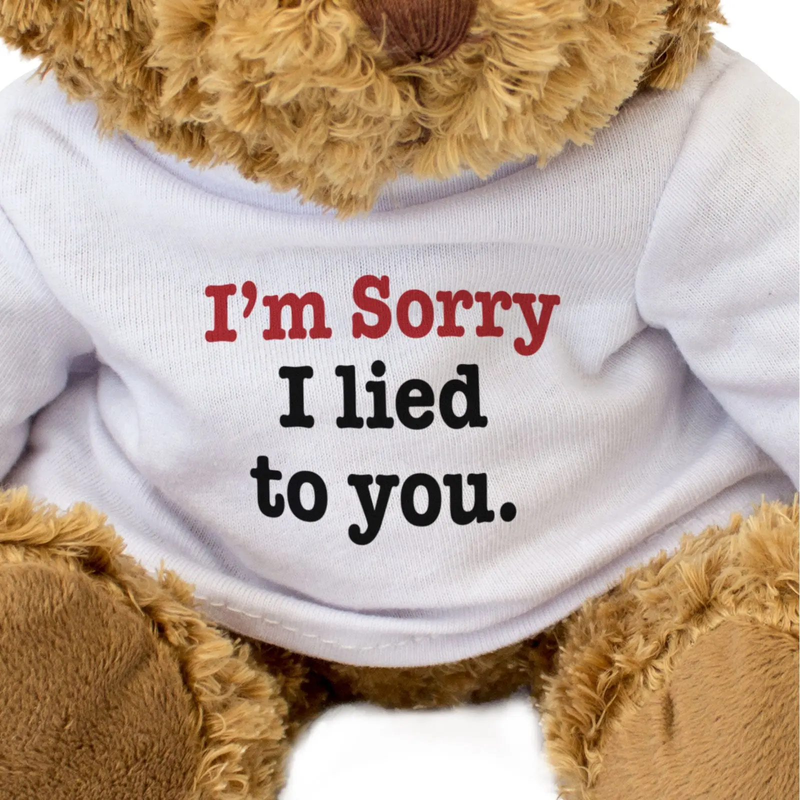 I'm Sorry I Lied To You Teddy Bear Apology Gift
