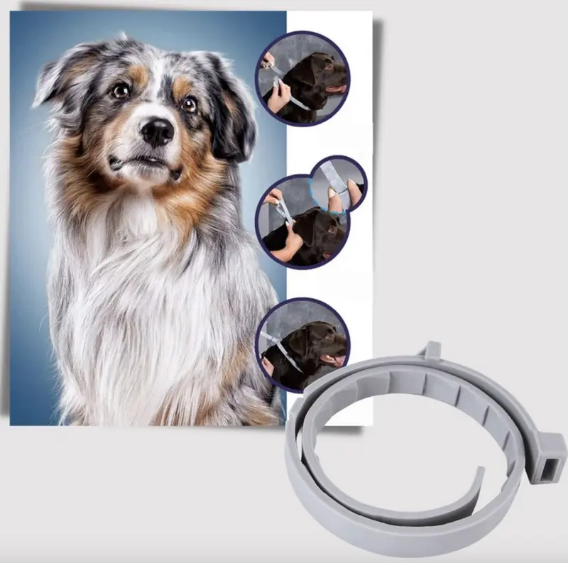 Anti-Flea Collar for Pets，Effective and Convenient for Puppy Love, Portal and Cost-effective 1