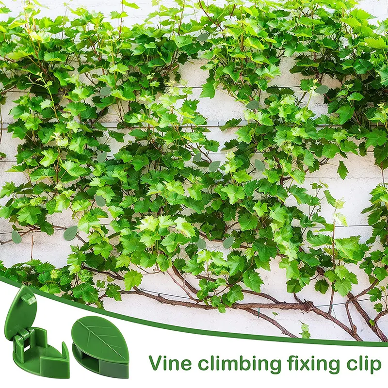 10PCS Climbing Plant Wall Clips Invisible Fixture Hook Clip Vine Sticky Vines 1