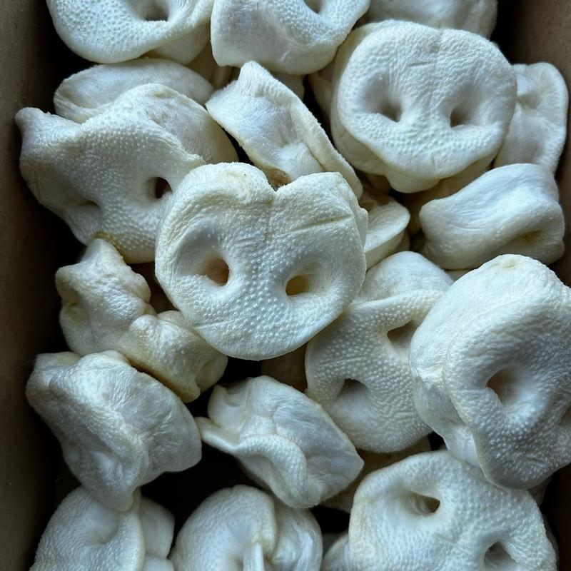 Puffed Pig Snouts - Natural Dog Treat - High Quality 2