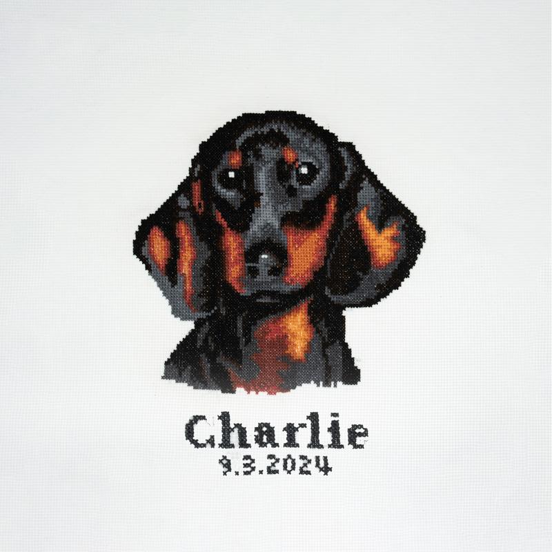Trimits Counted Cross Stitch Kit Ð Large: Dachshund, 36x36cm, Includes Aida Fabric, Pre-Sorted Threads, Needle, Personalizing Alphabet, Instructions in English, French, German 0