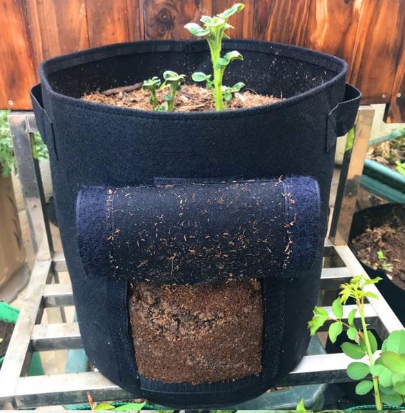 UK Seller 4/7/10 Gallon Potato Grow Planter Bags Vegetable Planting Bag Fabric Pot Onion 6