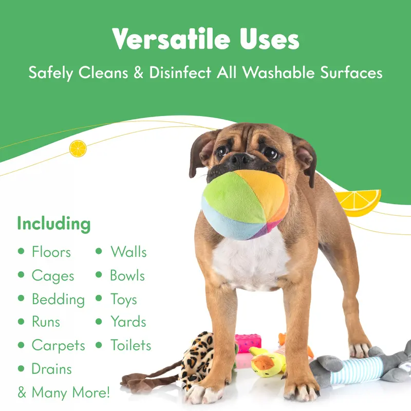 5L Purrcare Pet Disinfectant Lemon Fragrance -Powerful Formula Cleaner, Deodoriser For Kennel, Cattery, Outdoor Surfaces & Artificial Grass-Biodegradable-Dog Safe 3