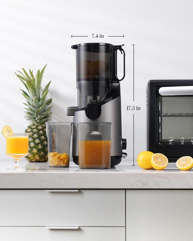 Cold press slow juicer 1