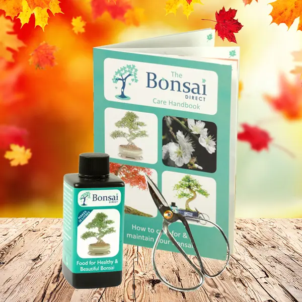 Beginners Bonsai Care Kit – The Essentials