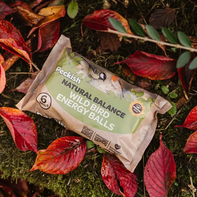 Peckish Natural Balance Energy Balls 6 Pack x10 1
