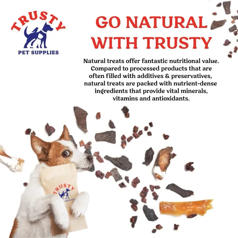 Leucillin Anti-septic Skincare Spray Range for Animals 4