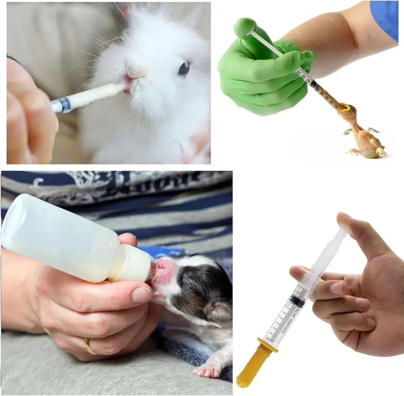 Kitten Bottles, Pet Feeding Syringe Nipple Bottles, Puppy Kitten Whelping Kit, for Puppy Squirrels Rabbit and Other Newborn Pets 4