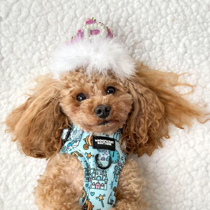 A Dream Is A Wish Your Heart Makes Adjustable Dog Harness 2