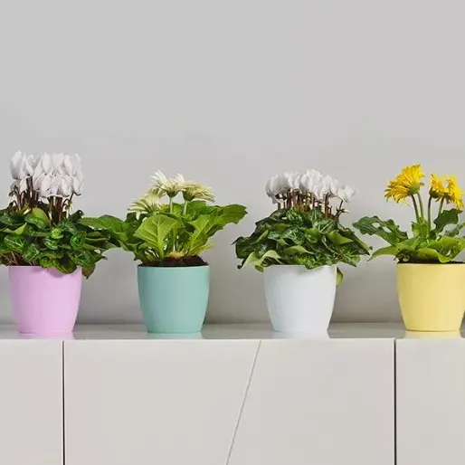 Plant Pots Flower Planter 6 Colours 3 sizes Matt Plastic Pot + Saucer Tray Deco 2