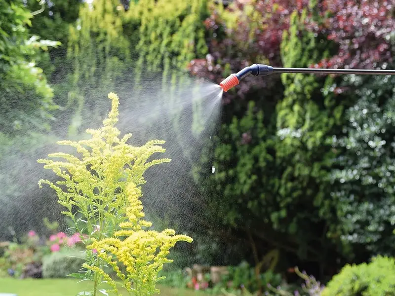 5LPAPS 5 Litre Pump Action Pressure Sprayer for Home and Garden Use 5