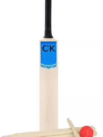 Cricket Set For Kids Bat Ball Bails Stumps Set Size 5 Kids Cricket & Carry Bag 3