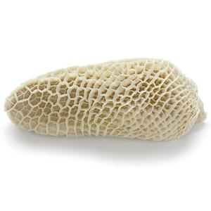 Beef Honeycomb Tripe