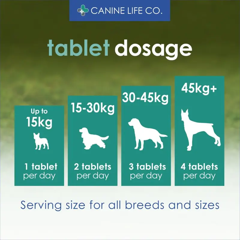 Senior Dog Joint Supplement for Older Dogs Aged 8+ 30 Chewable Tablets Trial Pack 3