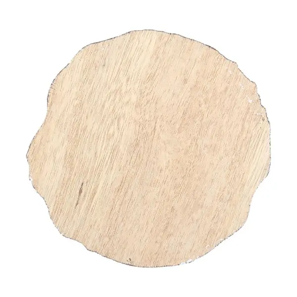 Winter Solstice Wood Slice Coaster Set 2