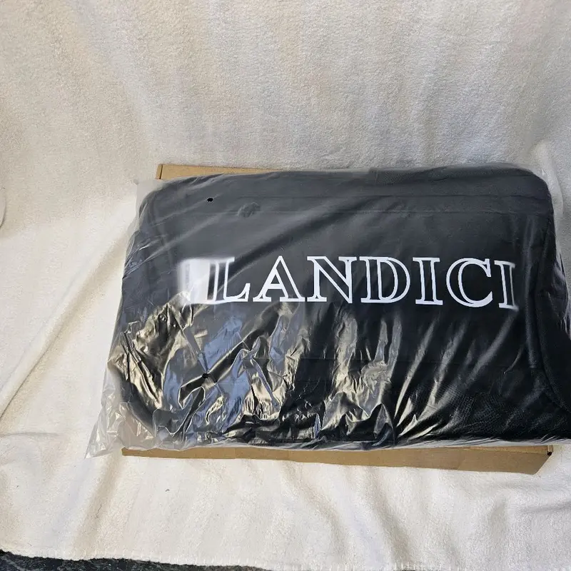 Landici Lightweight Backpack 1
