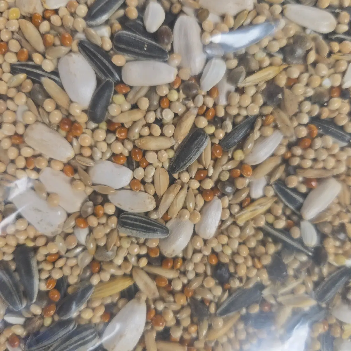 Cockatiel & Parakeet Food 1.5kg - Yellow Millet, Sunflower Seed, Paddy Rice, Buckwheat, Hempseed, and More