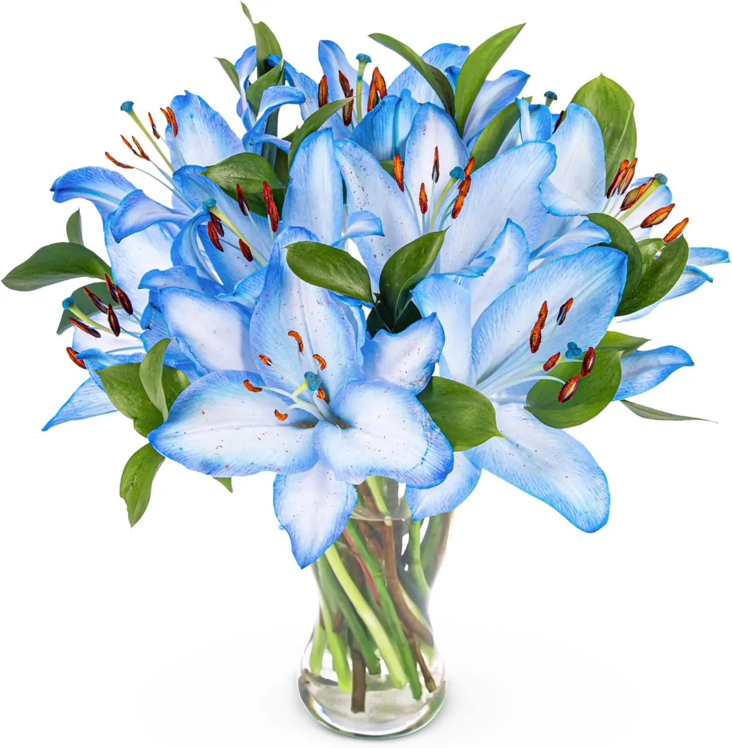 Ocean Lilies Bouquet - Bouquet of Fresh Flowers - Birthday Flowers - Next Day Free Shipping - Flowers for her - Flowers 2024 - Gifts for him - Flowers Gift - Fresh Cut Flowers - Gifts for Girlfriend - Prestige Flowers