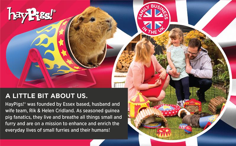 Product Introduction of HAYPIGS Piggy Nom Noms 1 x 70g Blueberry and Basil Natural Guinea Pig Treats with Guinea Pig Vitamin C - Also Perfect for Rabbit Treats 15