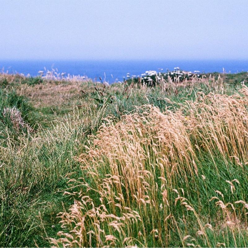 Kodak Colorplus 200 35mm Film - 24 Exposure, High-Quality Color Negative Film for Vivid Photos 1