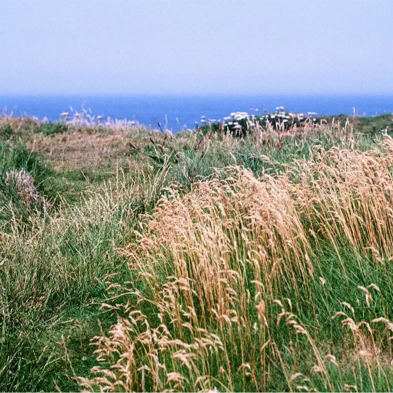 Kodak Colorplus 200 35mm Film - 24 Exposure, High-Quality Color Negative Film for Vivid Photos 1