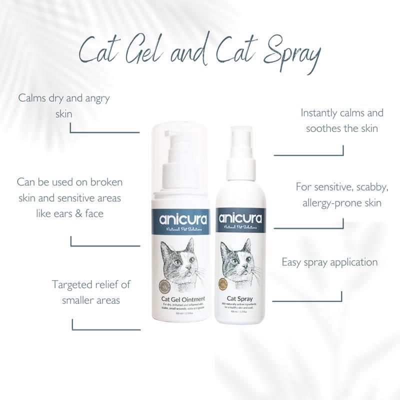 Cat Duo Pack 2