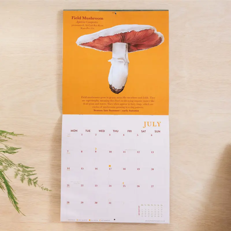 2025 Calendar | Mushroom Art | Large Square 2
