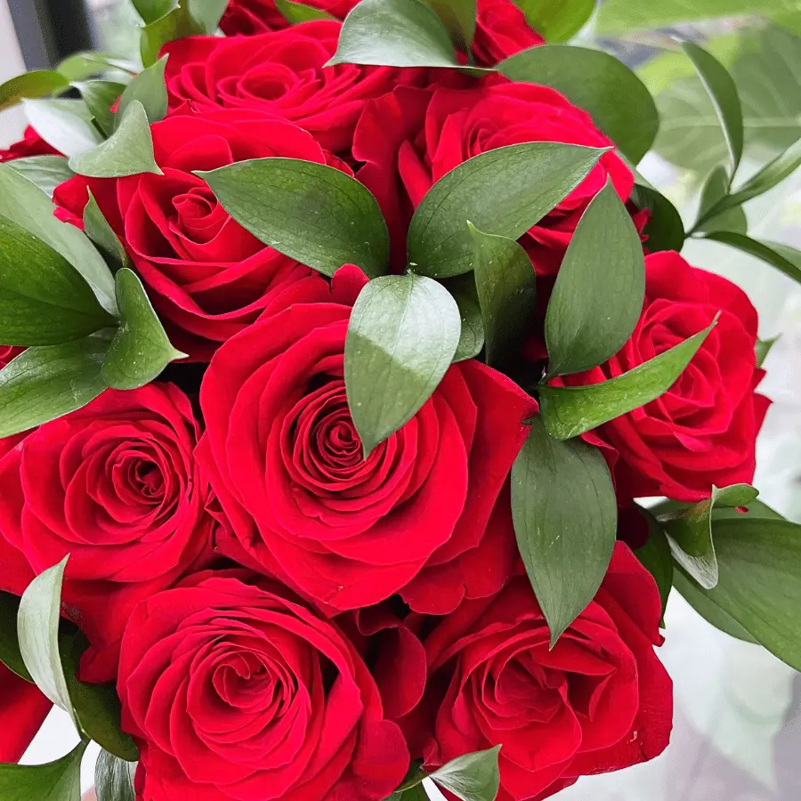 Luxury Farm Fresh Red Roses Bouquet - Premium Flowers for Gifting or Home Decor